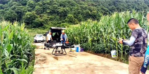 贵州都匀:无人机“飞防”作业助农稳产增收