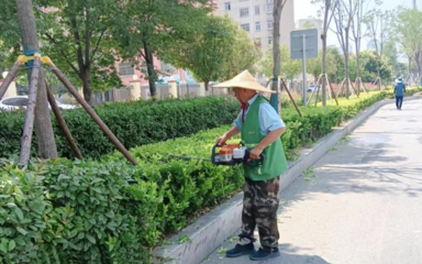 临沂市城管局园林环卫中心多措并举开展夏季病虫害防治行动