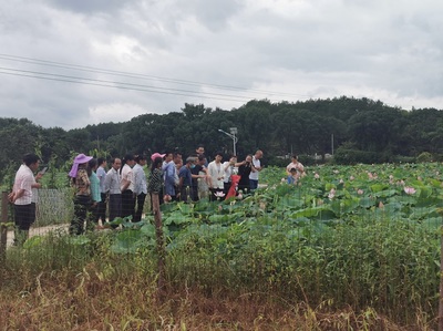 农林学院组织粮油科技人员培训班赴兴国开展科技服务