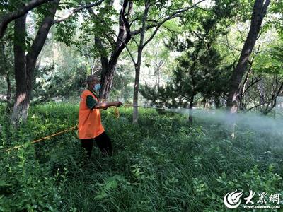 潍坊市直公园景区开展夏季病虫害防治工作