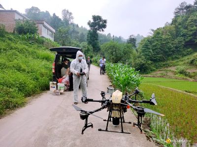 三岔河镇:无人机喷洒农药 助力农业植保提质增效