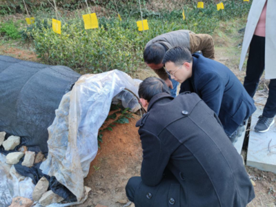 江西省农业农村厅 农业科技 省茶产业技术体系病虫害防治岗赴赣南茶区开展技术服务