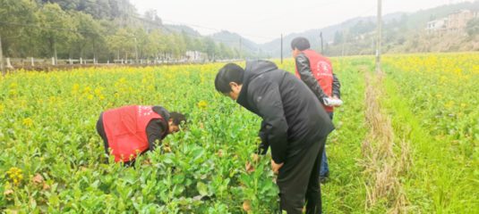 湖南省平江县启动新时代文明实践志愿服务月