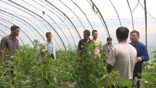 省级专家服务团在岷县 瞄准靶心走基层 精准帮扶开 良方