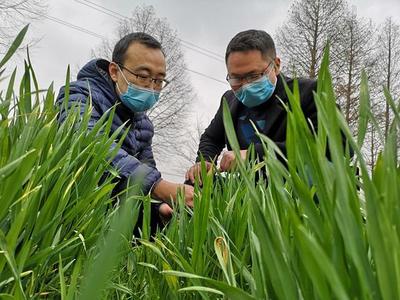 农资送上门,服务到田间,浉河区春耕生产“轻骑兵”奔忙解民忧